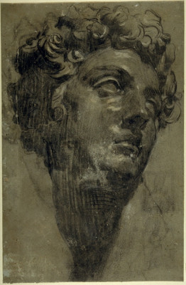 Studie nach dem Kopf des Giuliano deʼ Medici von Michelangelo